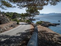 a narrow road winds away from the water, surrounded by trees and cliffs, in a forested area