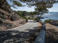 a narrow road winds away from the water, surrounded by trees and cliffs, in a forested area