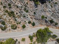 an aerial shot of a motorcycle driving by rocks and cliffs, near a pine tree lined road