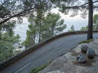 a mountain road winding in between two trees and a body of water behind it,