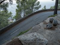 a mountain road winding in between two trees and a body of water behind it,