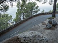 a mountain road winding in between two trees and a body of water behind it,