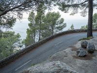 a mountain road winding in between two trees and a body of water behind it,