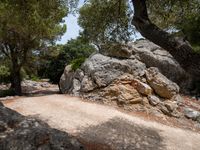 Mallorca, Spain: A Scenic Dirt Road Through the Landscape