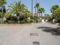 an empty street has several palm trees around it, and houses around them, in the background