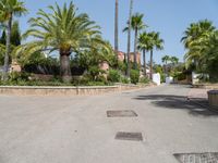 an empty street has several palm trees around it, and houses around them, in the background