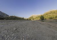 an empty rocky and dried river bed with trees and rocks in the foreground on a sunny day