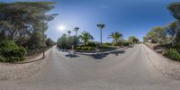 360 view of a road with trees and bushes in front of it and a man on a skateboard in the distance