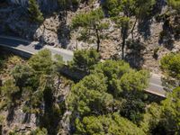 the aerial view of the mountain road and trees from above, overlooking the valley below