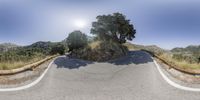 the panoramic image is reflecting a mountainous mountain road or mountain pass with a tree