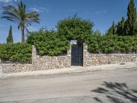 a gate in front of a stone wall on a city street with palm trees, shrubs and green foliage