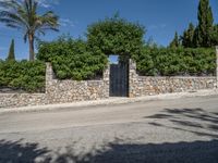 a gate in front of a stone wall on a city street with palm trees, shrubs and green foliage