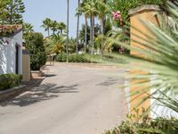 a road going past palm trees in the desert with small bushes on either side and a brick wall to the right