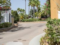 a road going past palm trees in the desert with small bushes on either side and a brick wall to the right