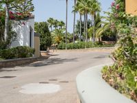 a road going past palm trees in the desert with small bushes on either side and a brick wall to the right