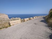 a road with rocks on both sides and an ocean in the distance behind it with a man in a jacket standing next to him