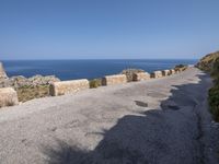 a road with rocks on both sides and an ocean in the distance behind it with a man in a jacket standing next to him