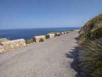 a road with rocks on both sides and an ocean in the distance behind it with a man in a jacket standing next to him