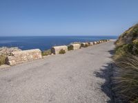 a road with rocks on both sides and an ocean in the distance behind it with a man in a jacket standing next to him