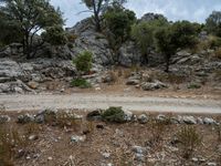 a dirt road going down a very steep mountain side side with rock formations in the background