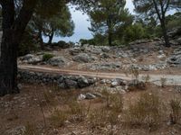 a dirt road going down a very steep mountain side side with rock formations in the background