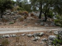 a dirt road going down a very steep mountain side side with rock formations in the background