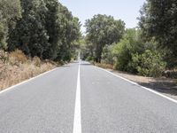 Mallorca Spain Straight Road with Tree