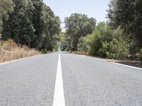 Mallorca Spain Straight Road with Tree