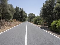 Mallorca Spain Straight Road with Tree