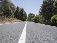 Mallorca Spain Straight Road with Tree