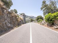 the mountain road is lined with trees, rocks, and green foliages, with a cliff in the distance