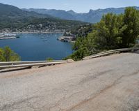 a person is riding a bike on the side of a road next to the water