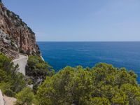 the ocean with a mountain top in the background with trees growing near it and a walkway on the edge of the cliff