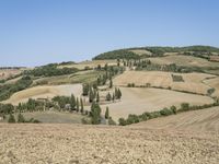 a man sitting on a grassy hill in a valley, with hills and trees in the distance