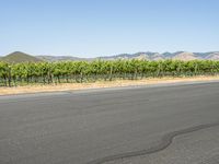 a man in red shirt riding skateboard down street in countryside area of mountains with winery growing