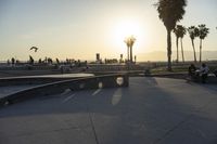 a man rides his skateboard along the road at sunrise, at the beach near some palm trees