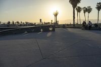 a man rides his skateboard along the road at sunrise, at the beach near some palm trees