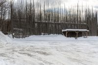 a man is jumping up a ramp with some skis on his feet near a barn