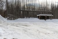 a man is jumping up a ramp with some skis on his feet near a barn