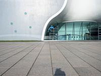 a man in shorts is standing on the walkway with a skateboard, in front of the modern building with large windows