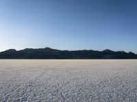 a man is standing in the desert with a remote control kite behind him that looks like he's in the middle of the frame