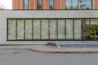 a man in the street near a building with glass windows and a red fire hydrant