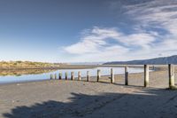 a man walking along the shore of a river next to wooden poles that have been washed