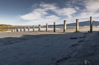 a man walking along the shore of a river next to wooden poles that have been washed