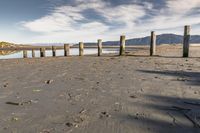 a man walking along the shore of a river next to wooden poles that have been washed