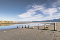 a man walking along the shore of a river next to wooden poles that have been washed