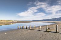 a man walking along the shore of a river next to wooden poles that have been washed