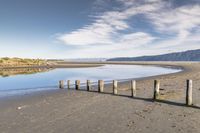 a man walking along the shore of a river next to wooden poles that have been washed