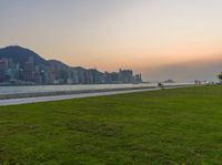 a man walking through a park holding a kite over his shoulder in front of the city skyline