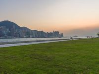 a man walking through a park holding a kite over his shoulder in front of the city skyline